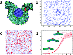 Graphical abstract: Computer simulation studies on passive recruitment dynamics of lipids induced by the adsorption of charged nanoparticles