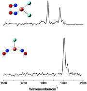 Graphical abstract: Flexible bonding between copper and nitric oxide: infrared photodissociation spectroscopy of copper nitrosyl cation complexes: [Cu(NO)n]+ (n = 1–5)