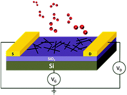 Graphical abstract: Effect of ozone exposure on the electrical characteristics of high-purity, large-diameter semiconducting carbon nanotubes