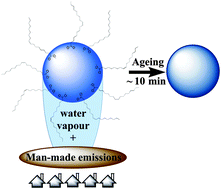 Graphical abstract: Ozonolysis of methyl oleate monolayers at the air–water interface: oxidation kinetics, reaction products and atmospheric implications