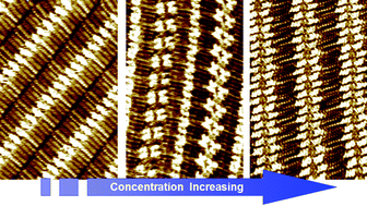 Graphical abstract: Steric matching and the concentration induced self-assembled structural variety of 2,7-bis(n-alkoxy)-9-fluorenone at the aliphatic solvent/graphite interface