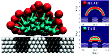 Graphical abstract: Self-assembled surfactants on patterned surfaces: confinement and cooperative effects on aggregate morphology