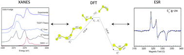 Graphical abstract: Molecular structure and stability of dissolved lithium polysulfide species