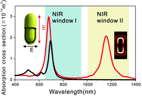 Graphical abstract: Plasmonic rod-in-shell nanoparticles for photothermal therapy