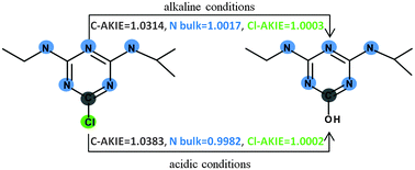 Graphical abstract: Theoretical predictions of isotope effects versus their experimental values for an example of uncatalyzed hydrolysis of atrazine