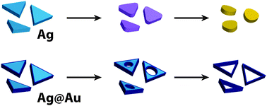 Graphical abstract: Chemical stability and degradation mechanisms of triangular Ag, Ag@Au, and Au nanoprisms