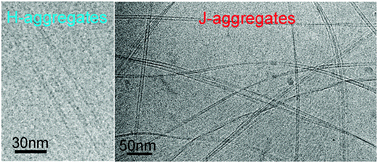 Graphical abstract: Pinacyanol chloride forms mesoscopic H- and J-aggregates in aqueous solution – a spectroscopic and cryo-transmission electron microscopy study