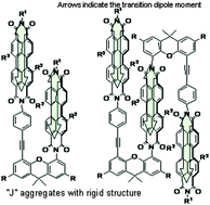 Graphical abstract: Covalently linked perylenetetracarboxylic diimide dimers and trimers with rigid “J-type” aggregation structure