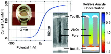 Graphical abstract: Nanoporous dual-electrodes with millimetre extensions: parallelized fabrication and area effects on redox cycling