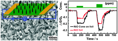 Graphical abstract: Controlled growth of conical nickel oxide nanocrystals and their high performance gas sensing devices for ammonia molecule detection