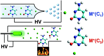 Graphical abstract: Alkali metal cation binding affinities of cytosine in the gas phase: revisited