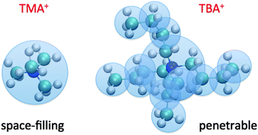 Graphical abstract: Aqueous solutions of tetraalkylammonium halides: ion hydration, dynamics and ion–ion interactions in light of steric effects