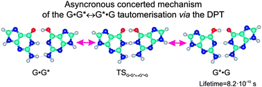 Graphical abstract: How does the long G·G* Watson–Crick DNA base mispair comprising keto and enol tautomers of the guanine tautomerise? The results of a QM/QTAIM investigation