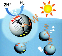 Graphical abstract: A ferroelectric photocatalyst for enhancing hydrogen evolution: polarized particulate suspension