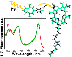 Graphical abstract: Energy transfer in aggregates of bacteriochlorophyll c self-assembled with azulene derivatives