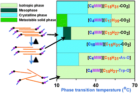 Graphical abstract: Imidazolium-based ionic liquids with different fatty acid anions: phase behavior, electronic structure and ionic conductivity investigation