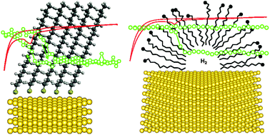 Graphical abstract: Electrochemical reductive desorption of alkyl self-assembled monolayers studied in situ by spectroscopic ellipsometry: evidence for formation of a low refractive index region after desorption