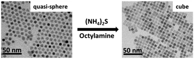 Graphical abstract: Sub-10 nm monodisperse PbS cubes by post-synthesis shape engineering