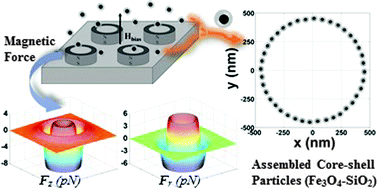 Graphical abstract: Template-assisted nano-patterning of magnetic core–shell particles in gradient fields