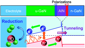 Graphical abstract: A nitride based polarization-engineered photocathode for water splitting without a p-type semiconductor