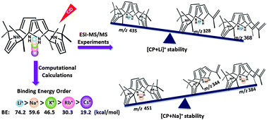 Graphical abstract: Evaluating the cation binding strength and selectivity of calix[4]pyrroles: a computational and ESI-MS/MS study