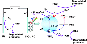 Graphical abstract: Photoelectrocatalytic degradation of rhodamine B on TiO2 photonic crystals