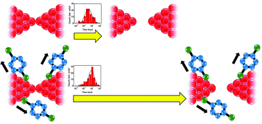 Graphical abstract: Highly stable Au atomic contacts covered with benzenedithiol under ambient conditions