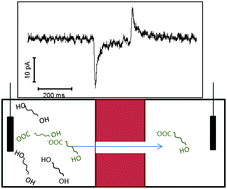 Graphical abstract: Experimental and simulation studies of unusual current blockade induced by translocation of small oxidized PEG through a single nanopore