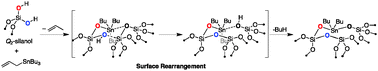 Graphical abstract: Silica-surface reorganization during organotin grafting evidenced by 119Sn DNP SENS: a tandem reaction of gem-silanols and strained siloxane bridges