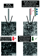 Graphical abstract: Non-conformal decoration of semiconductor nanowire surfaces with boron nitride (BN) molecules for stability enhancement: degradation-resistant Zn3P2, ZnO and Mg2Si nanowires