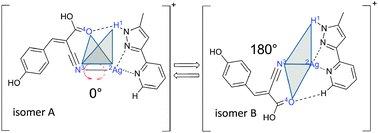 Graphical abstract: Two-color delay dependent IR probing of torsional isomerization in a [AgL1L2]+ complex