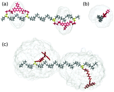 Graphical abstract: Do bifunctional labels solve the problem of dye diffusion in FRET analysis?