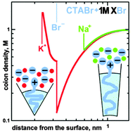 Graphical abstract: The strong specific effect of coions on micellar growth from molecular-thermodynamic theory