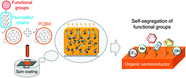 Graphical abstract: Surface functionalization of organic semiconductor films by segregated monolayers