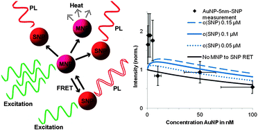 Graphical abstract: Metal-enhanced luminescence in colloidal solutions of CdSe and metal nanoparticles: investigation of density dependence and optical band overlap