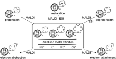 Graphical abstract: Ion formation pathways of crown ether–fullerene conjugates in the gas phase