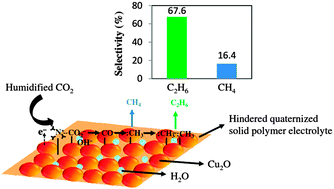 Graphical abstract: Electrochemical conversion of CO2 to fuels: tuning of the reaction zone using suitable functional groups in a solid polymer electrolyte