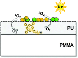 Graphical abstract: Singlet oxygen generation in porphyrin-doped polymeric surface coating enables antimicrobial effects on Staphylococcus aureus