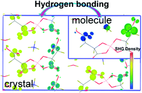 Graphical abstract: The influence of hydrogen bonding on the nonlinear optical properties of a semiorganic material NH4B[d-(+)-C4H4O5]2·H2O: a theoretical perspective