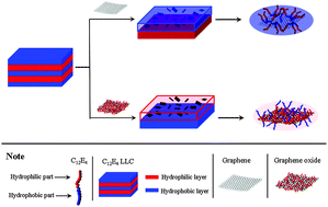 Graphical abstract: Comparative study of n-dodecyl tetraethylene monoether lyotropic liquid crystals incorporated with graphene and graphene oxide