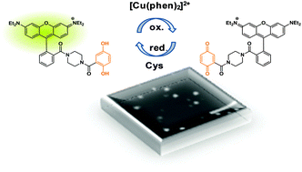 Graphical abstract: Monitoring hydroquinone–quinone redox cycling by single molecule fluorescence spectroscopy