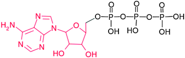 Graphical abstract: Mapping the affinity of aluminum(iii) for biophosphates: interaction mode and binding affinity in 1 : 1 complexes