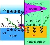 Graphical abstract: Surface plasmon enhanced photochemical etching of p-type GaP: a direct demonstration of wavelength selectivity