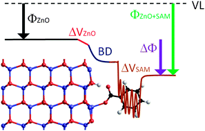 Graphical abstract: Work function shifts of a zinc oxide surface upon deposition of self-assembled monolayers: a theoretical insight