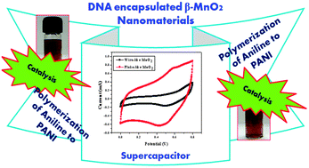 Graphical abstract: Enhanced catalytic and supercapacitor activities of DNA encapsulated β-MnO2 nanomaterials