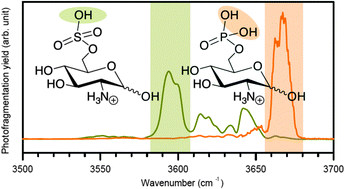 Graphical abstract: Distinguishing isobaric phosphated and sulfated carbohydrates by coupling of mass spectrometry with gas phase vibrational spectroscopy