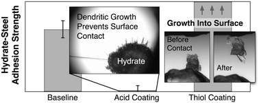 Graphical abstract: Adhesion force interactions between cyclopentane hydrate and physically and chemically modified surfaces