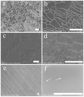 Graphical abstract: Direct synthesis of phosphorus and nitrogen co-doped monolayer graphene with air-stable n-type characteristics