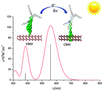 Graphical abstract: Theoretical investigation on structural and electronic properties of organic dye C258 on TiO2(101) surface in dye-sensitized solar cells