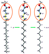 Graphical abstract: Towards high-level theoretical studies of large biodiesel molecules: an ONIOM [QCISD(T)/CBS:DFT] study of hydrogen abstraction reactions of CnH2n+1COOCmH2m+1 + H